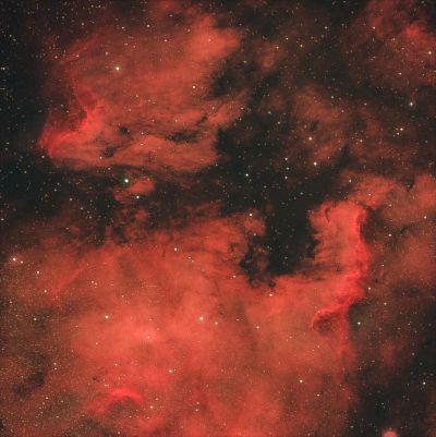 Туманности Северная Америка (NGC 7000) и Пеликан (IC 5070 и IC 5067)