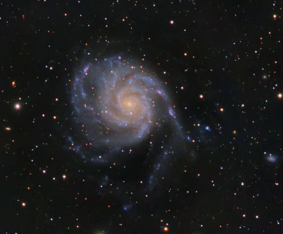 M101
