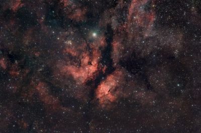 IC 1318