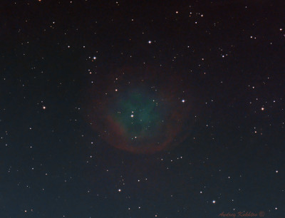 Abell 31 (PK 219 + 31.1)  18.02.2026 - Astrophotography