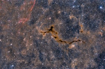Seahorse Nebula