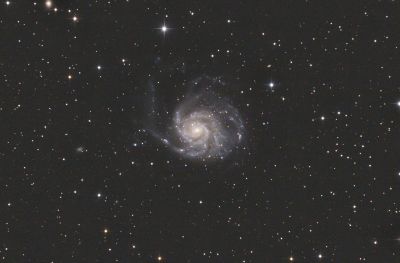M 101