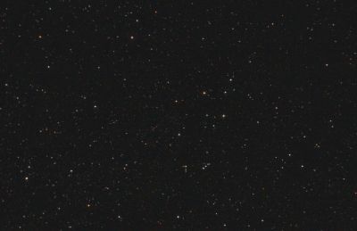 Новая в Лисичке