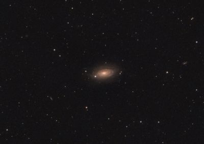 M 63, Галактика Подсолнух