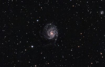 M101