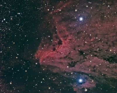Pelican nebula