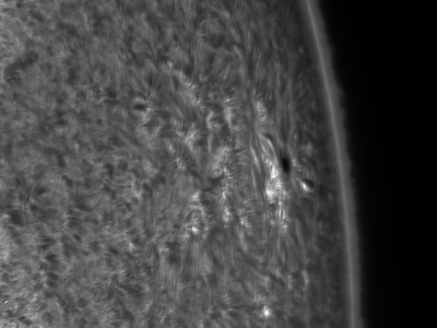 2020.10.25 Sun AR12776 H-Alpha