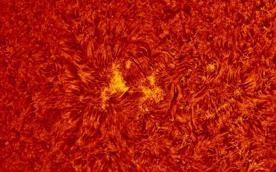 2018.06.16 Sun AR12713 H-Alpha