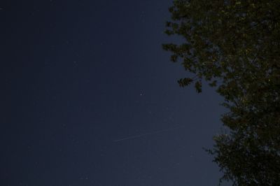 Вега Белых Ночей