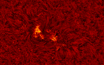 2020.04.04 Sun AR12759 H-Alpha (color)