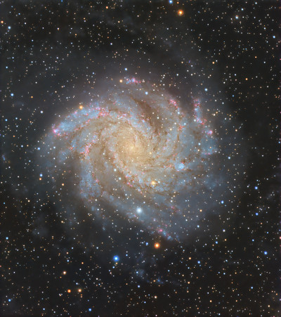 NGC6946