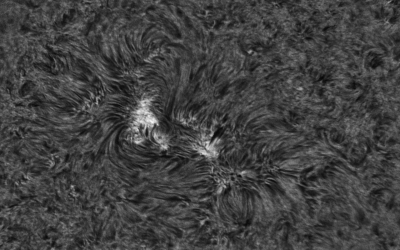 2020.04.04 Sun AR12759 H-Alpha