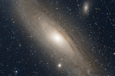 M31