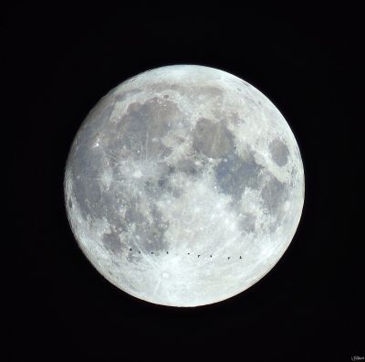 Осенняя луна и перелетные птички