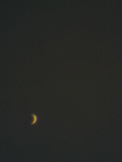 Серп Венеры