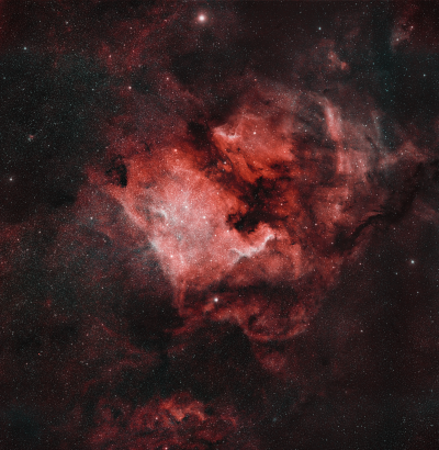 NGC 7000