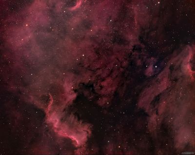 NGC7000 "Северная Америка"