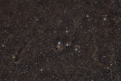 Темная акула