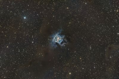 NGC7023 Ирис