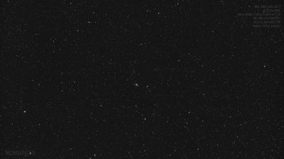 M81, M82 and NGC 3077