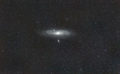 M31