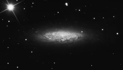 NGC 6503