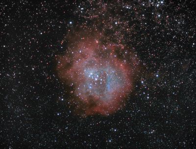 Звездное скопление NGC 2244 в туманности Розетка NGC2238(37)
