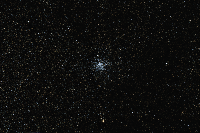 M11  Дикая утка