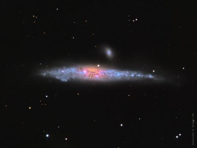 NGC4631 (Whale, Кит) in LRGB filter