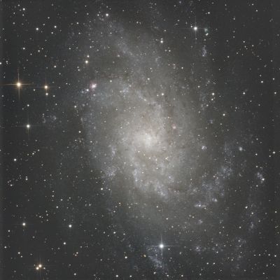 Галактика Треугольника (М33, NGC598)
