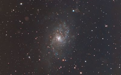 M33