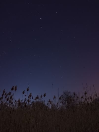 периодически мне нравятся фотографии