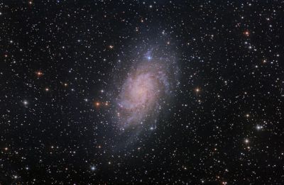 M33