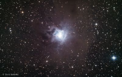 NGC7023 Iris