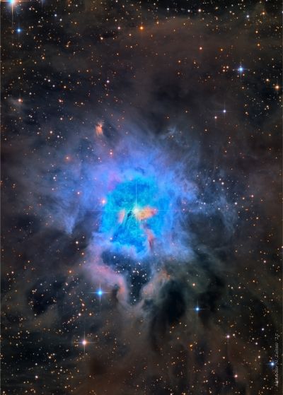 NGC 7023 (Iris) в фильтрах LRGB