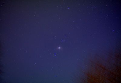 Вечерний Орион