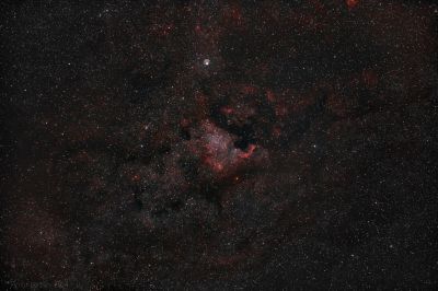 NGC 7000