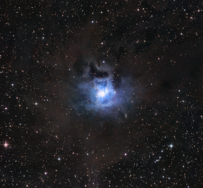 NGC7023 - Iris Nebula