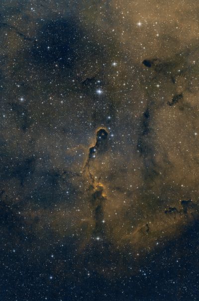 IC1396A - Elephant's Trunk Nebula