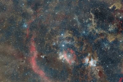 The orion complex