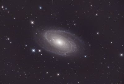 M81