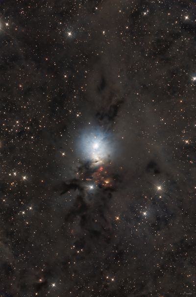 NGC 1333 (Embryo nebula)