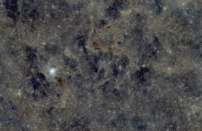 С4 (Iris) and dark nebula