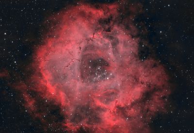 C 49 - Rosette Nebula