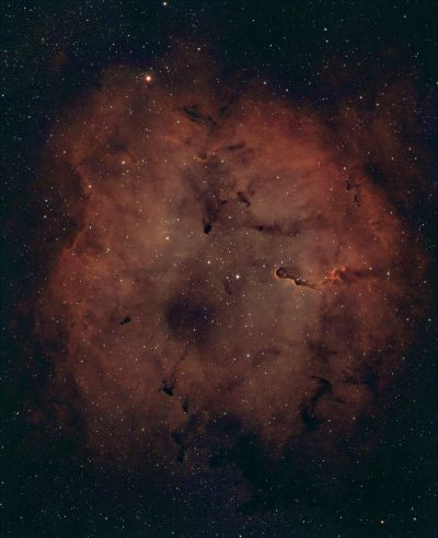 IC 1396 Elephant's Trunk - Astrophotography