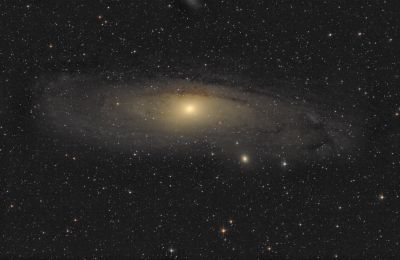 M31