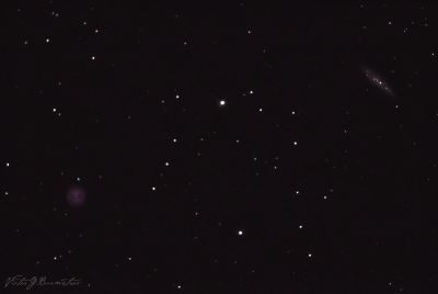 Сова и доска для серфинга