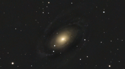M81