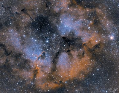 IC1396, Elephant's trunk nebula