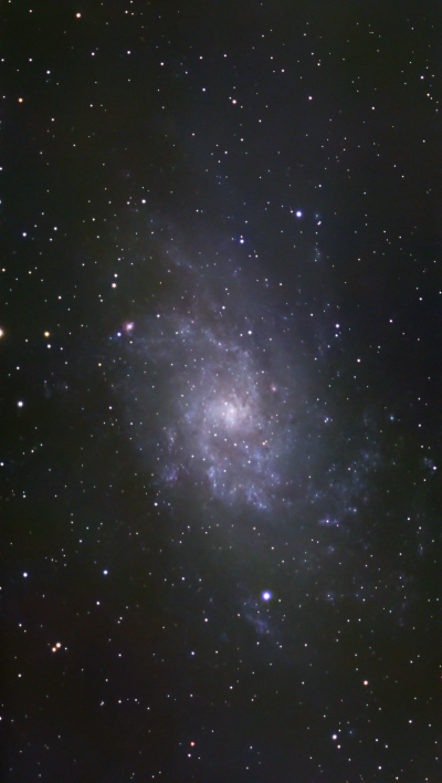 M33